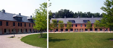 Lewis Quad