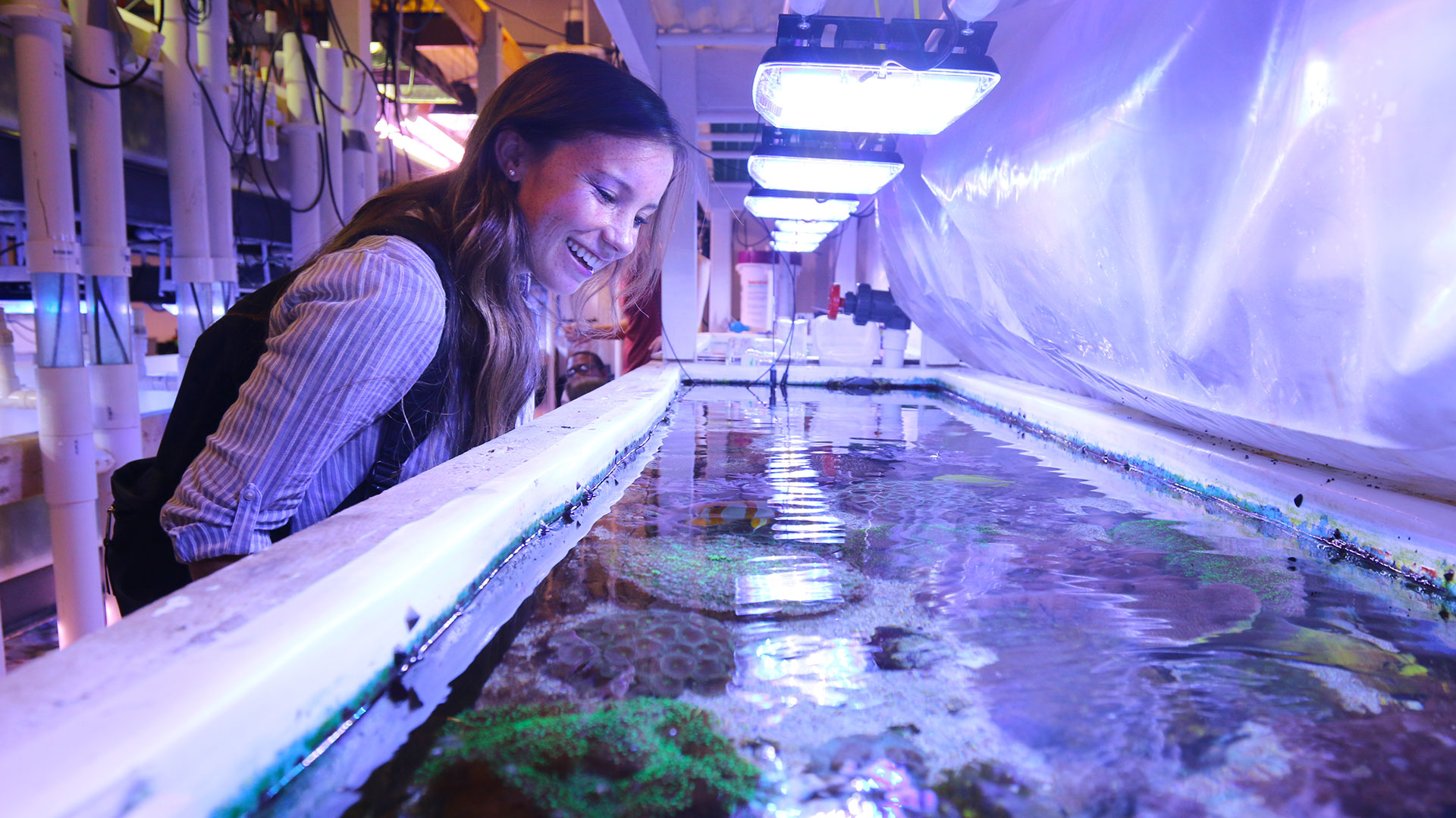 SMCM student leans in for a closer look at the Schaefer Hall Wet Lab.
