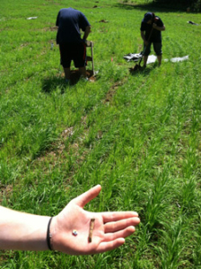shovel-test-pit-artifacts