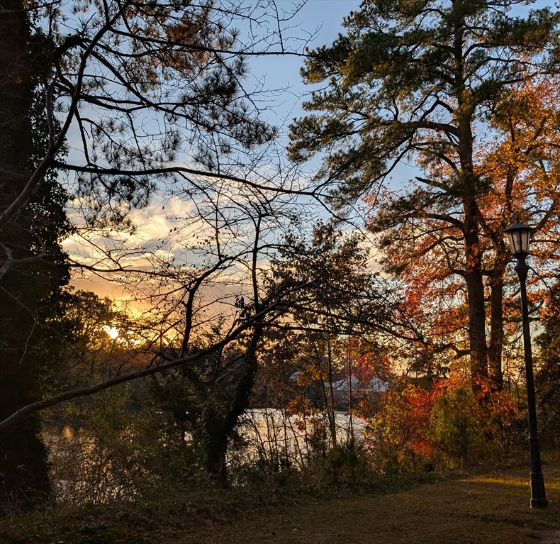 Sunset view through trees with autumn leaves by a lake, with a lamp post on the right and scattered clouds in the sky.