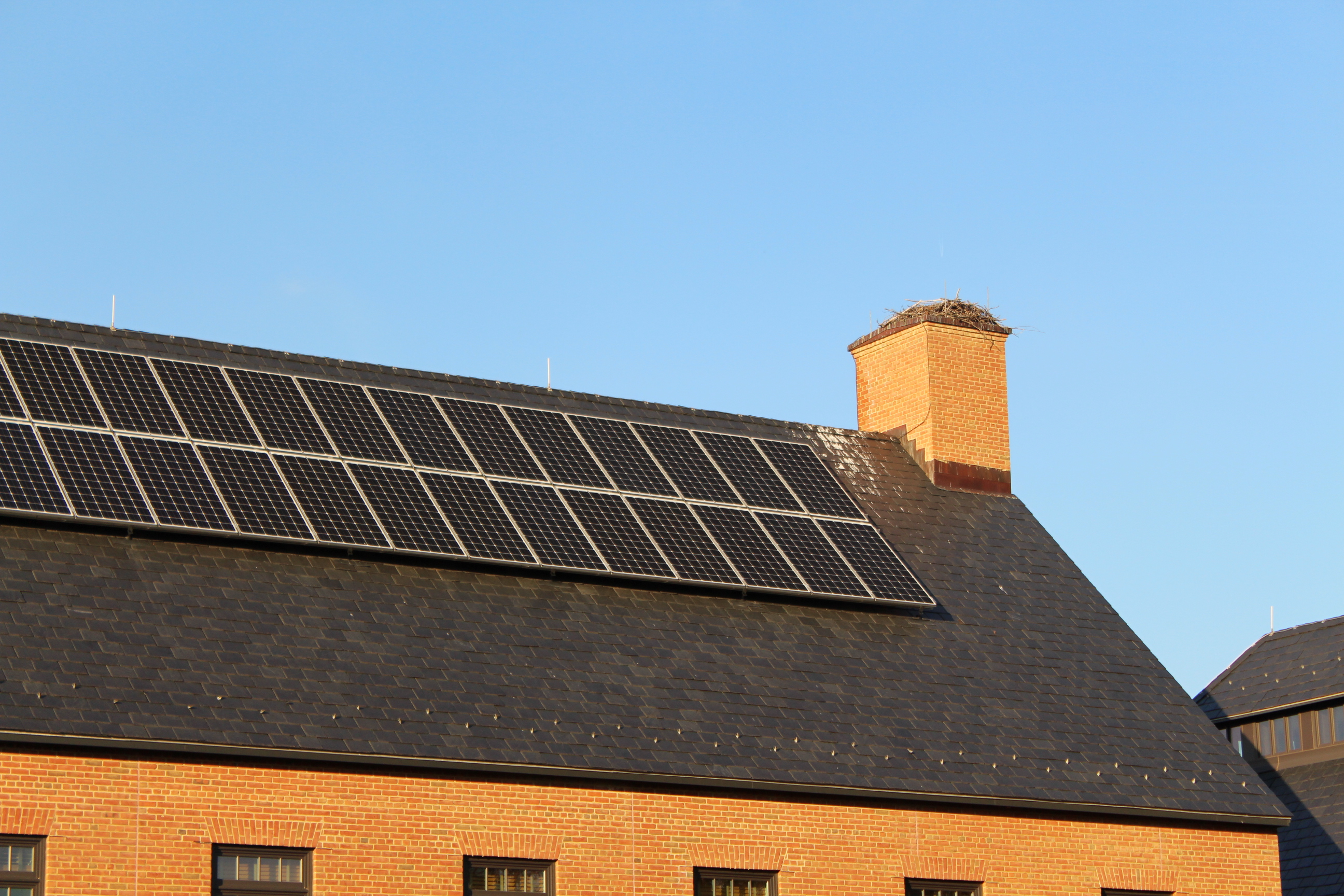 A brick building roof with green solar panels installed and a large bird nest on top of a chimney against a clear blue sky.