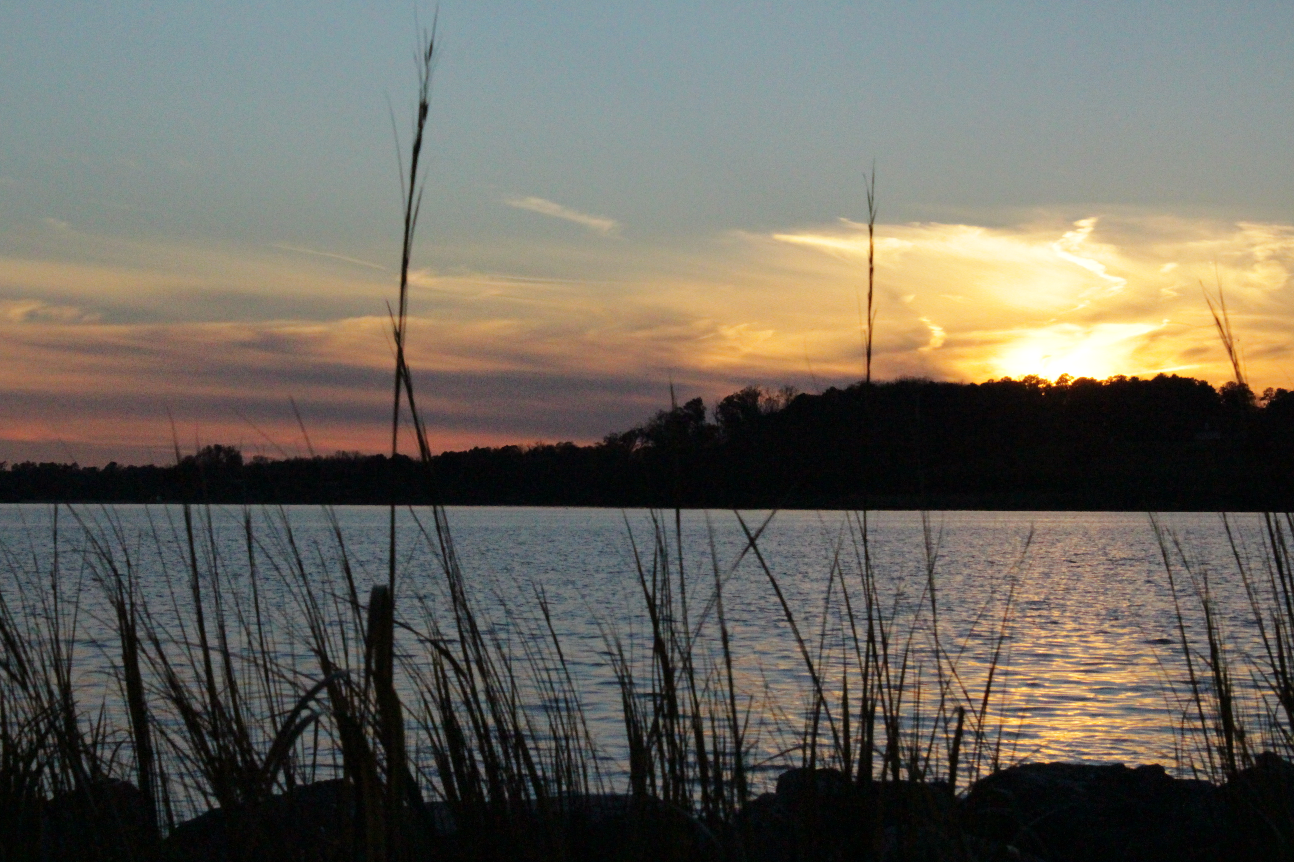 Tall grass in the foreground frames a calm lake at sunset, with the sun setting behind a tree-lined shore and colorful clouds in the sky.