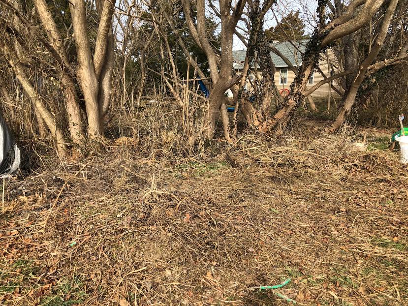 workers and volunteers at the Farm collect the "brown" layer, which is essentially old branches and brush
