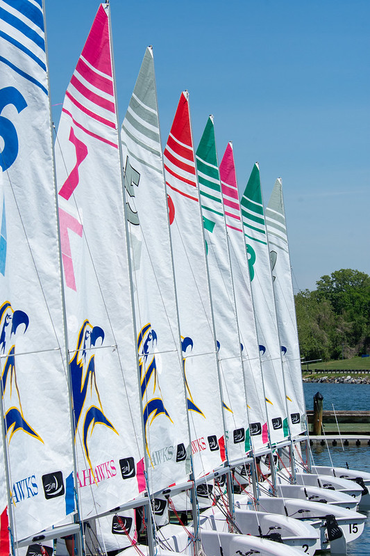 A row of colorful sailboats with numbered sails and hawk logos is docked by the water under a clear blue sky.