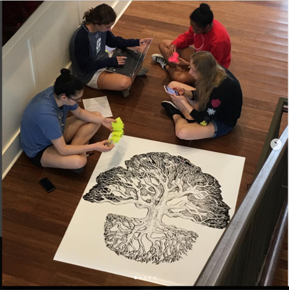 antimuseum project Students work together on exhibit