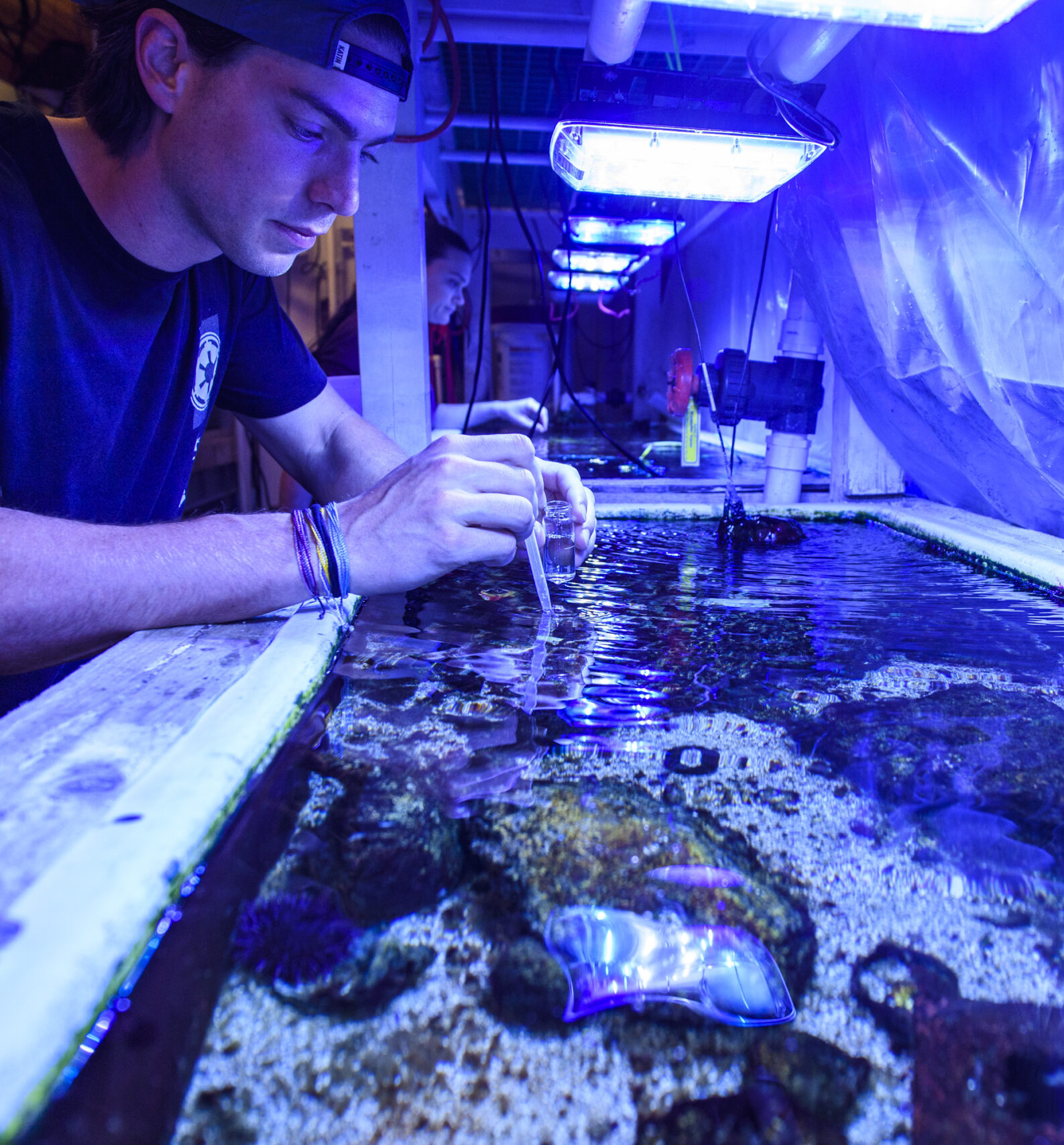 A person in a black shirt and cap is carefully inspecting and working on a large, illuminated aquarium tank filled with coral and marine life. The environment has a blue light, enhancing the colors of the corals and water.