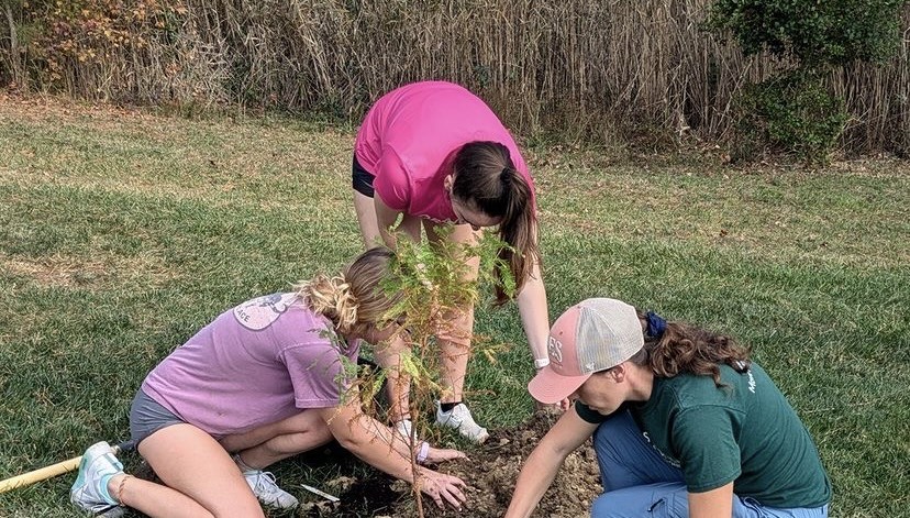 St. Inigoes Tree Planting