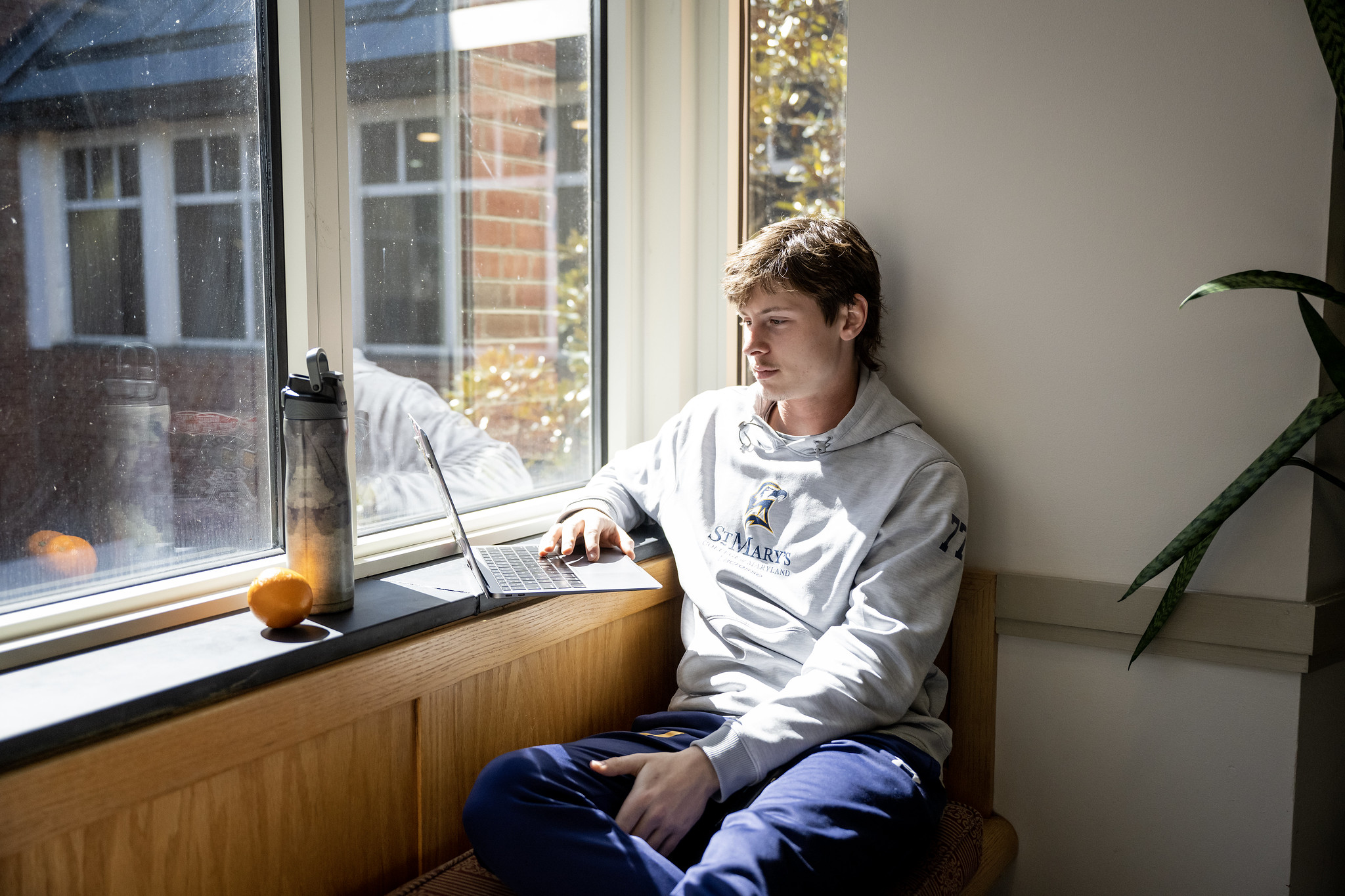 52769131643_9ab26b49e8_k (1) A person in a gray hoodie sits by a window, using a laptop. An orange and a water bottle are on the windowsill. Sunlight filters through the window, illuminating the room.
