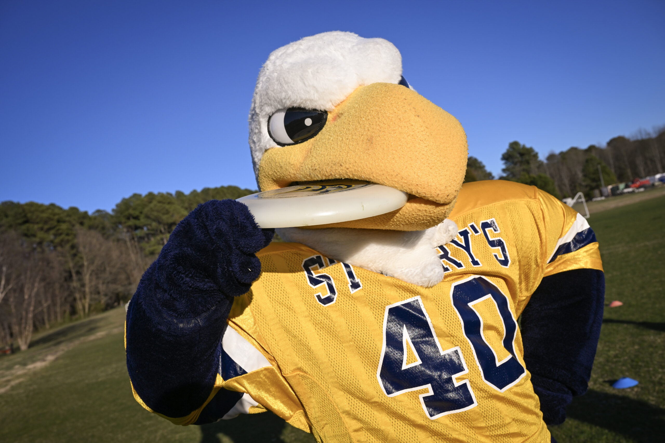 A person in a large bird mascot costume wearing a yellow "St. Mary's 40" jersey holds a frisbee in its beak on a grassy field.