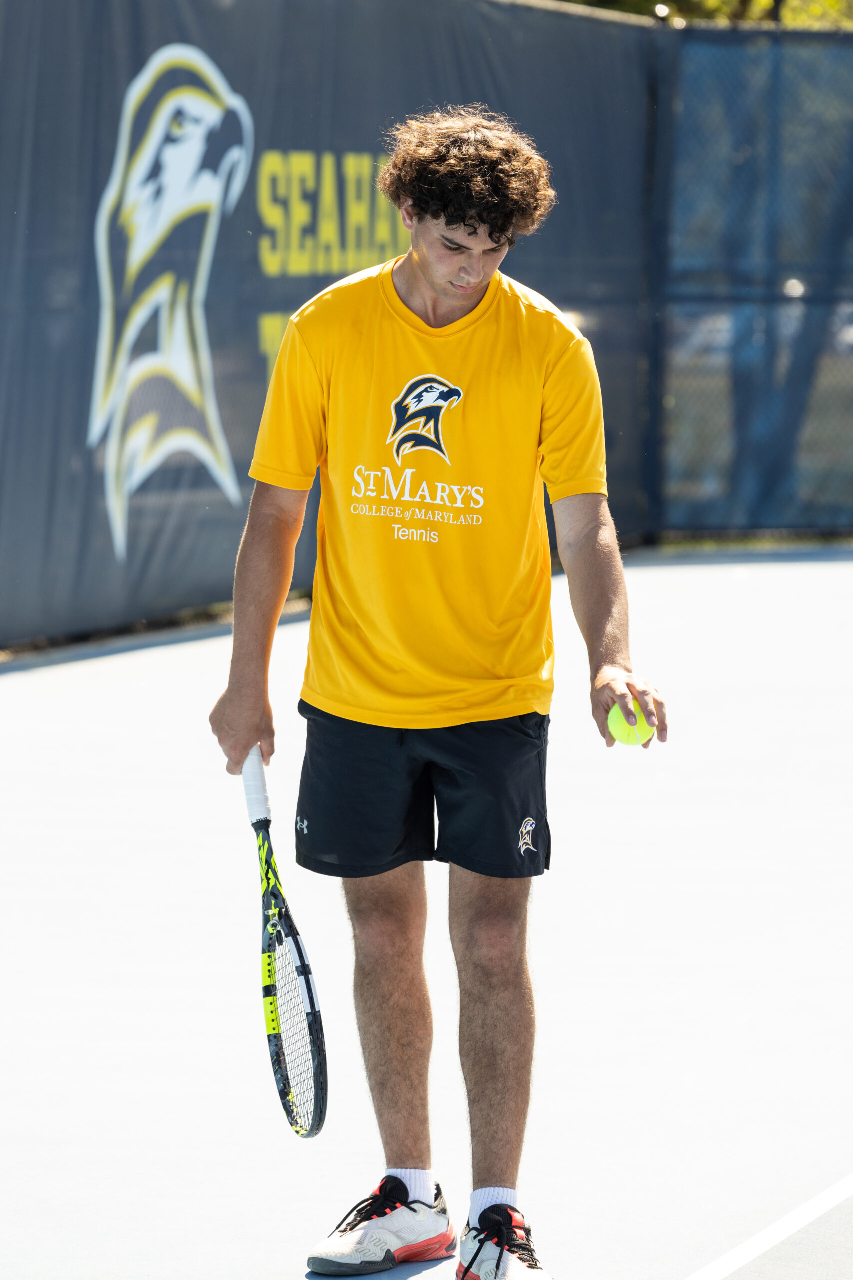 A tennis player in a yellow St. Mary's College of Maryland shirt holds a racket and a tennis ball on an outdoor court.