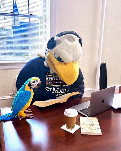 A person in a large bird costume, wearing headphones, sits at a desk with an open book and a laptop. A colorful parrot statue is perched nearby. A coffee cup and a book titled "Write Wrongs" are also on the desk.
