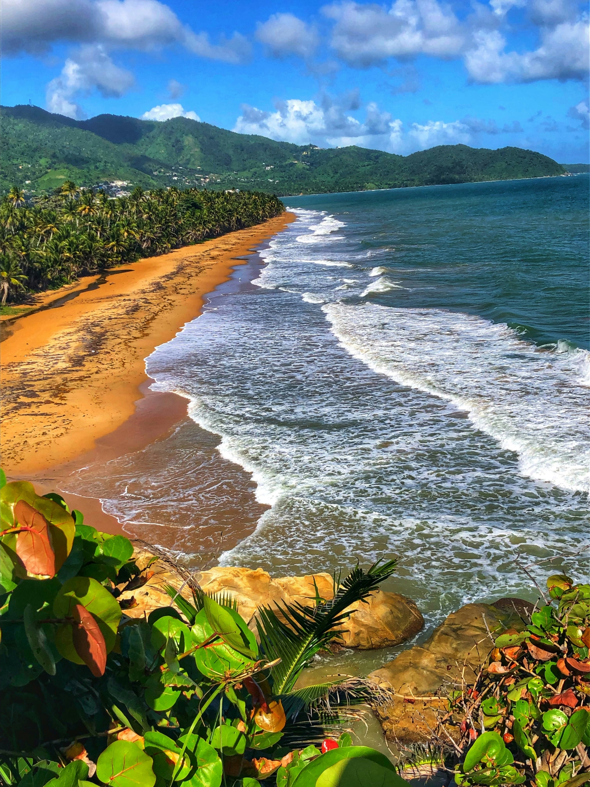 A tropical beach with golden sand, palm trees, and gentle waves under a partly cloudy sky with green mountains in the background.