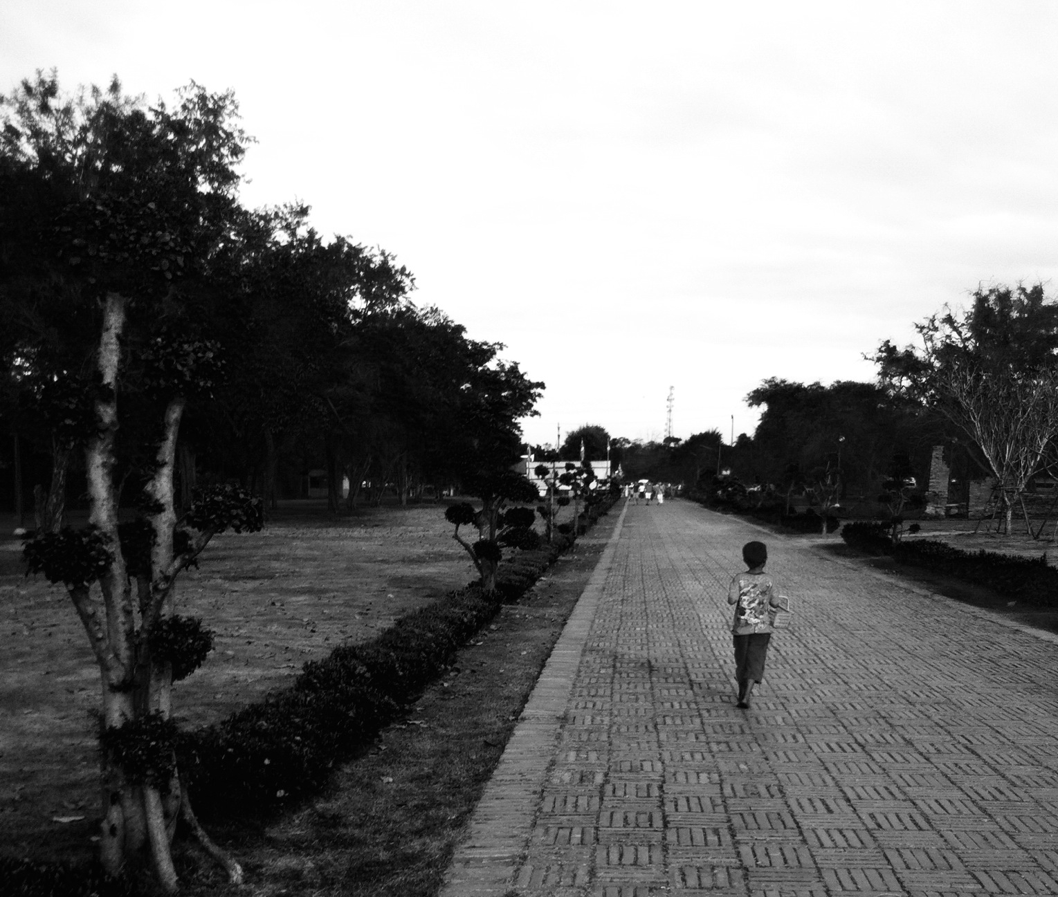 A child walks alone down a long, paved pathway lined with trees and hedges in an outdoor park setting.