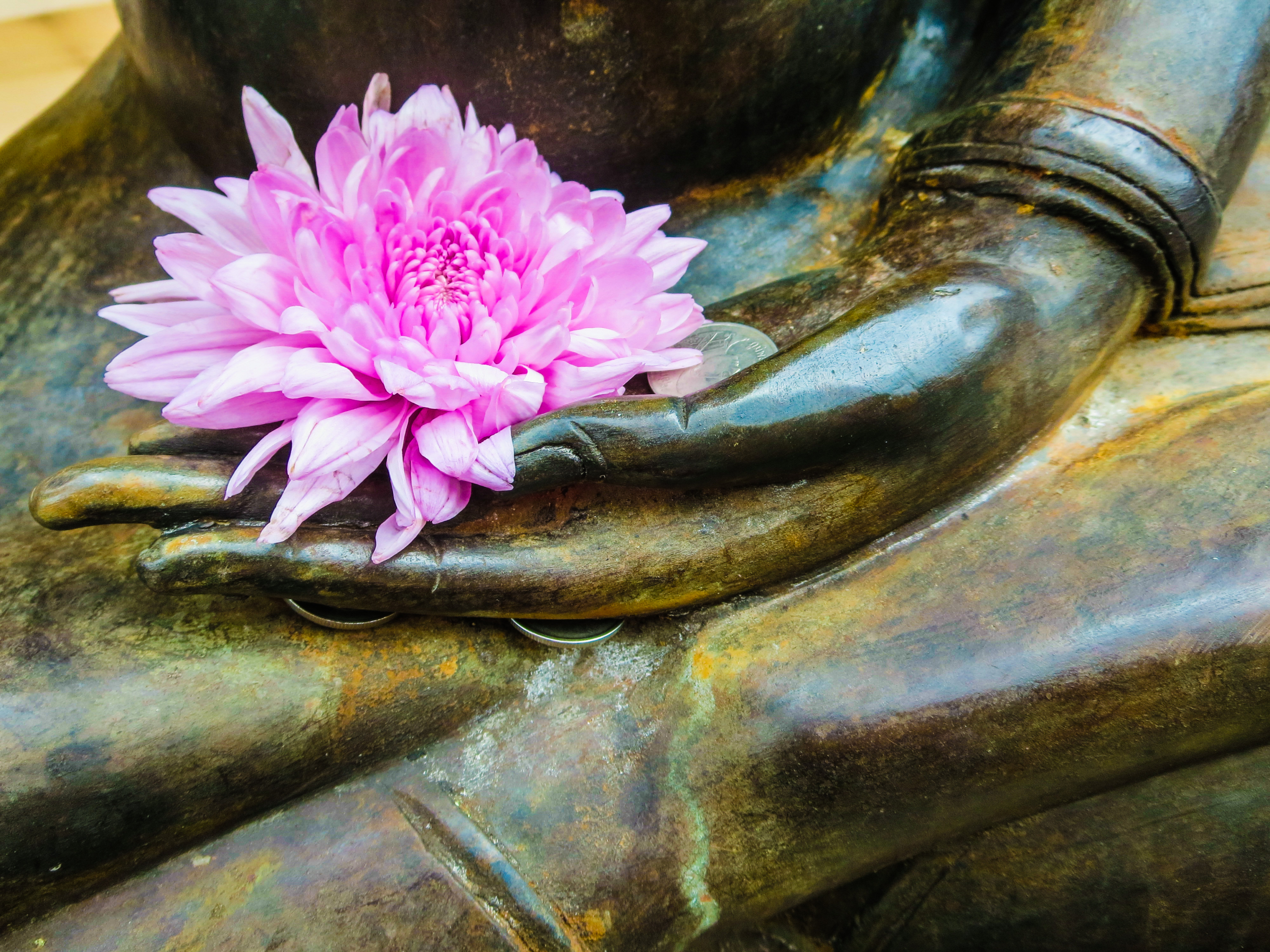 A close-up of a bronze statue’s hand holding a pink flower, with the statue’s crossed legs visible in the background.