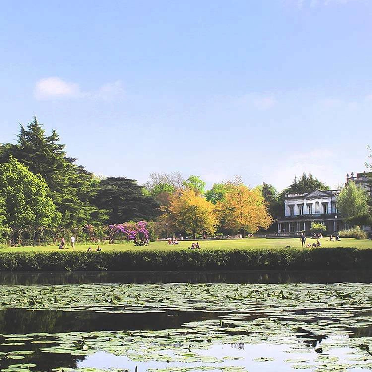 A large pond with lily pads in the foreground, a grassy park with people, trees, and a white building in the background under a blue sky.