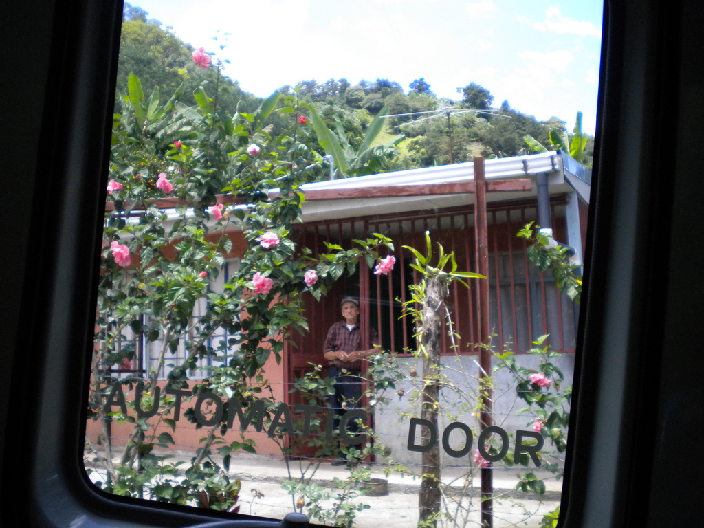 A person stands outside a house surrounded by plants and flowers, seen through a window with "AUTOMATIC DOOR" text partially visible.