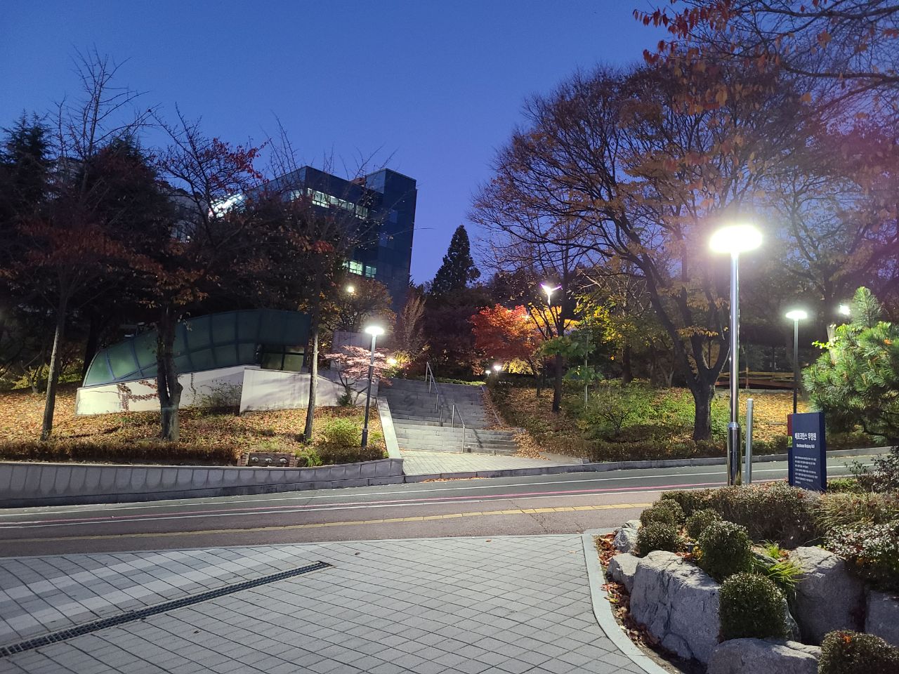 A paved path with steps leads up a hill lined with trees and streetlights at dusk; a modern building is visible in the background.