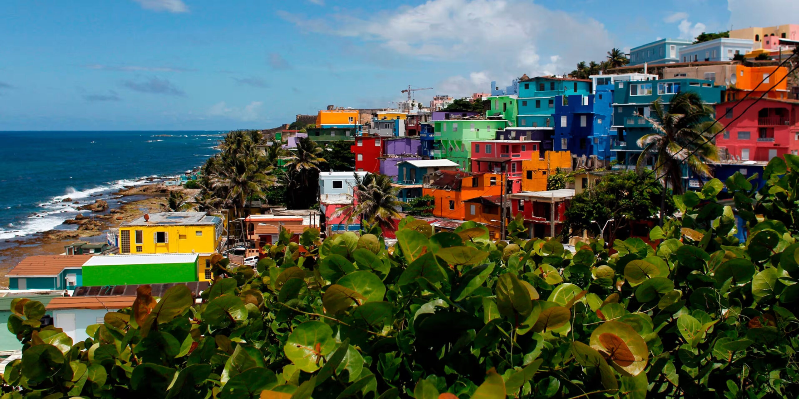 Rows of brightly colored houses sit on a hillside overlooking the ocean, with green foliage and palm trees in the foreground under a partly cloudy sky.