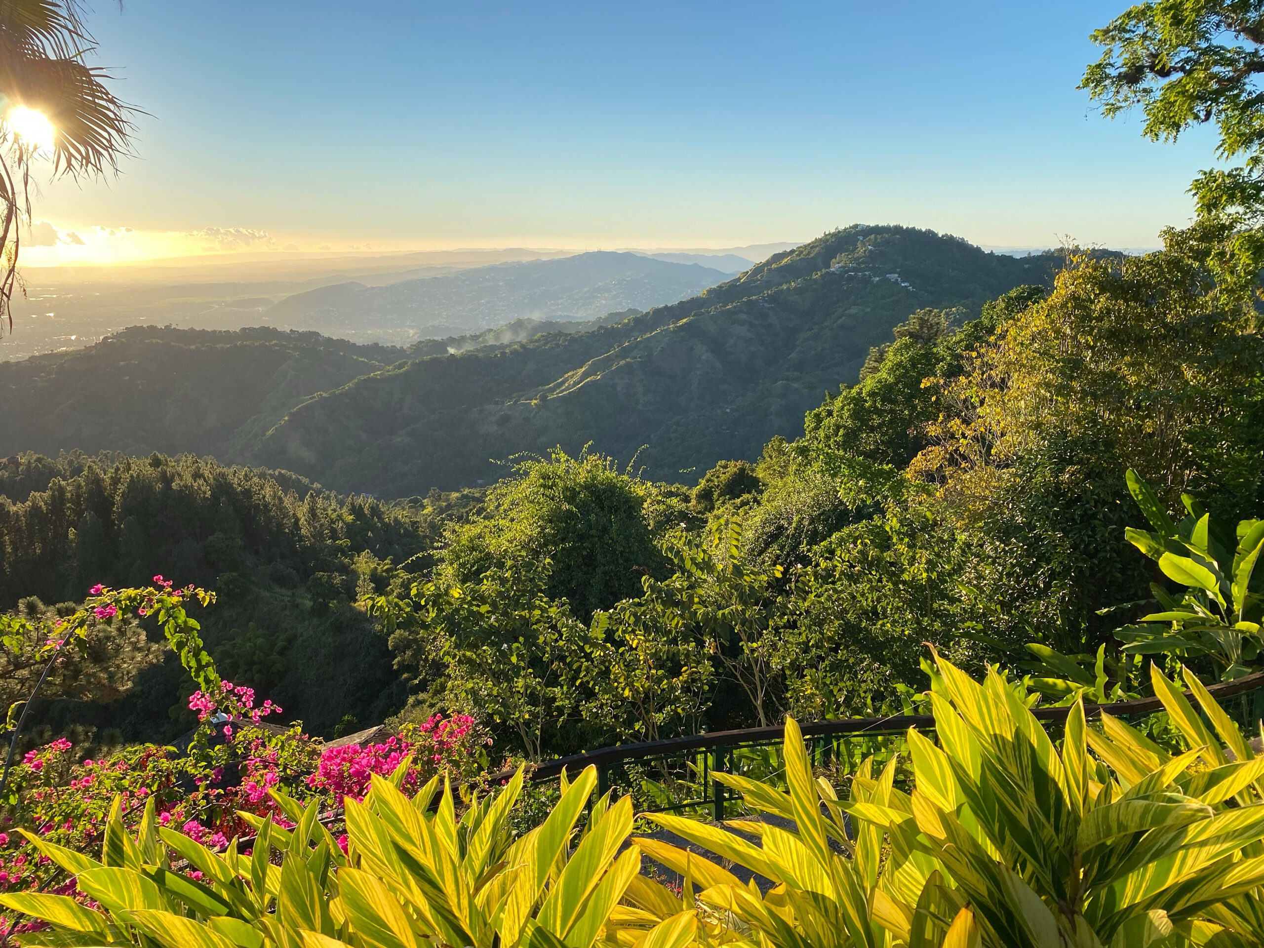 Lush green hills and mountains under a clear blue sky at sunrise, with sunlight illuminating plants and vibrant flowers in the foreground.