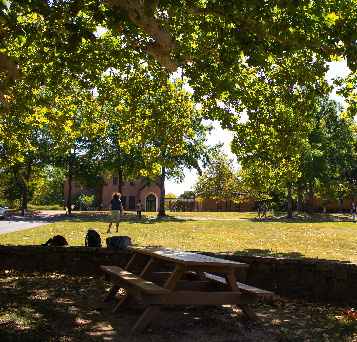A sunny day on a college campus shows a grassy quad surrounded by green trees and brick buildings. A picnic table in the foreground is shaded by trees, and a few people walk and cycle in the distance.