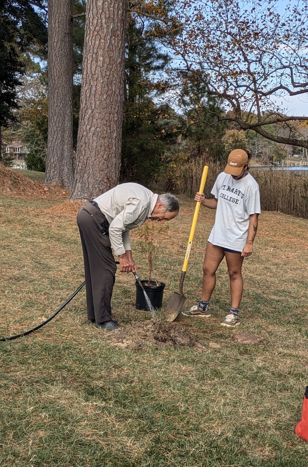 PXL_20241107_183516566 A man is planting a small tree with a woman holding a shovel nearby. They are outdoors on a grass lawn surrounded by trees. The person wears a T-shirt and shorts, while the man wears long pants and a long-sleeved shirt.