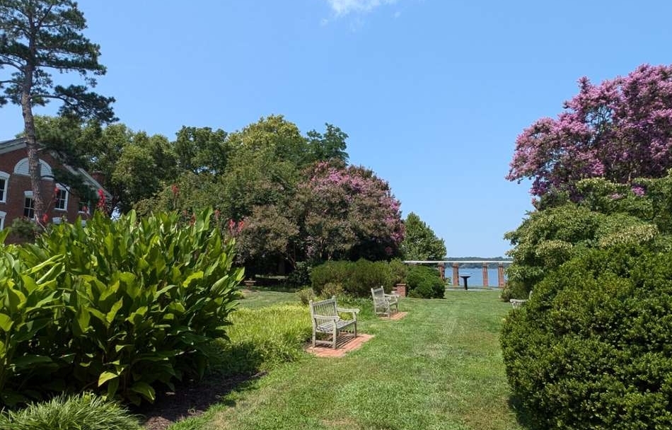 A landscaped garden with green grass, flowering bushes, wooden benches, and a brick building on the left under a clear blue sky.