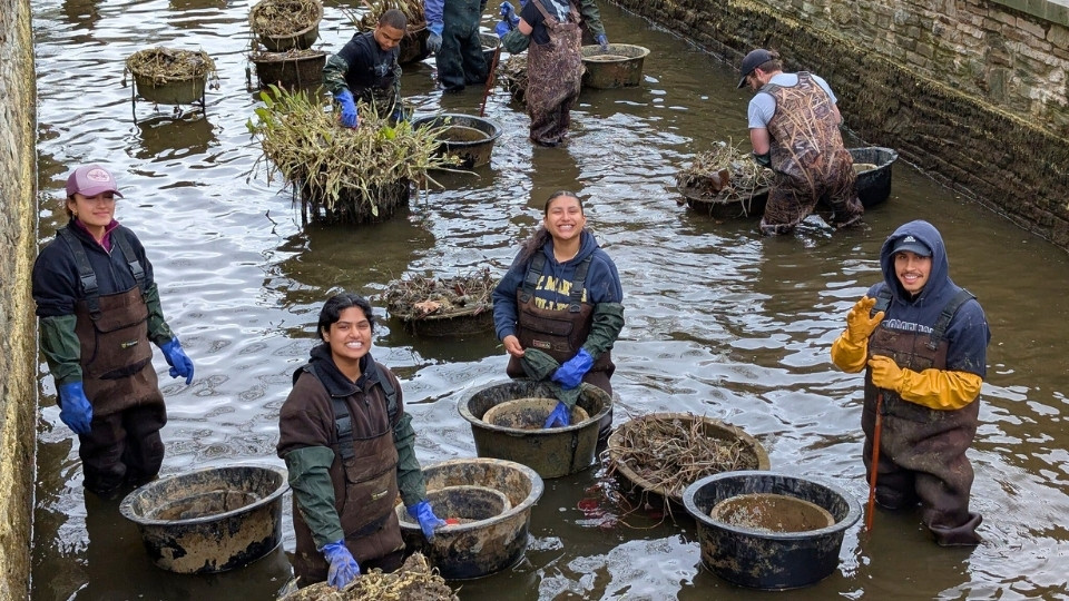 Bay to Bay Service Day Color on the Creek, group pauses in the creek to smile for camera