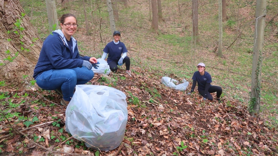 Bay to Bay Service Day Washington, DC, invasive plant removal, working down the hillside