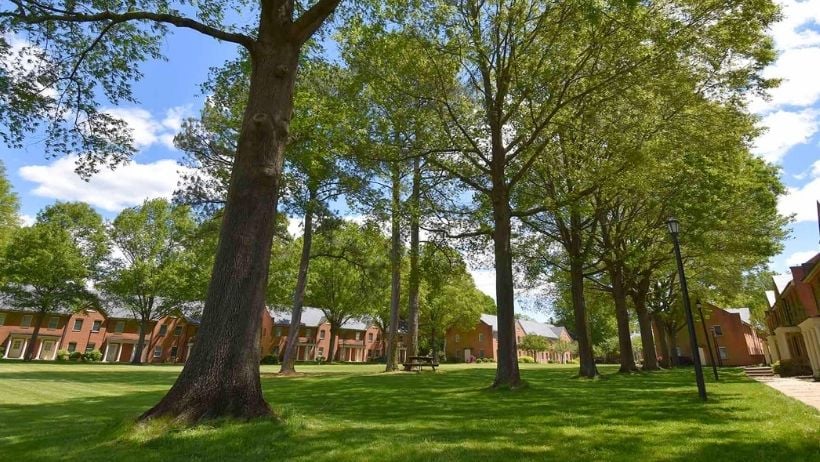 A row of brick buildings lines the background behind large trees and a grassy lawn under a partly cloudy sky.