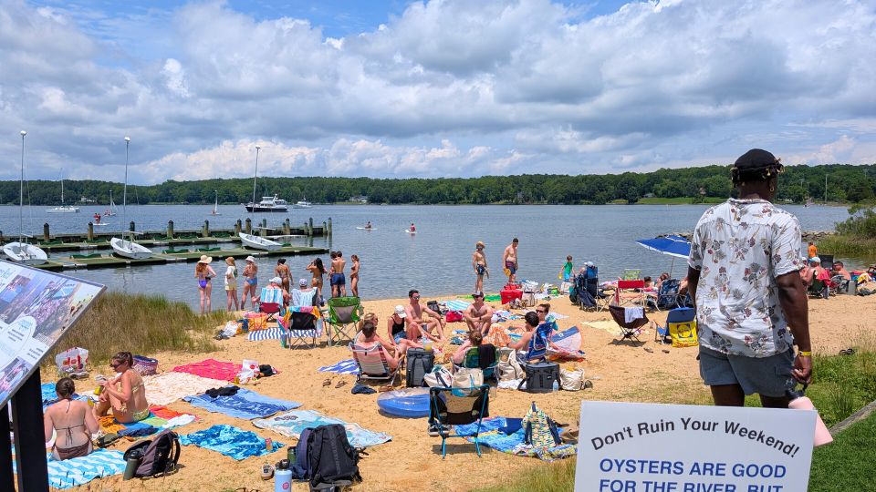 People relax on a sandy beach by a river, with kayaks and boats in the water. A sign in the foreground reads, "Oysters are good for the river, but don't ruin your weekend!. SMCM Teddy Turner Waterfront