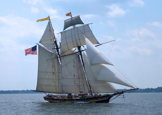 A large, historic sailing ship with three masts and full white sails, the Baltimore Pride II, moves across a body of water under a partly cloudy sky, displaying American and Maryland flags.
