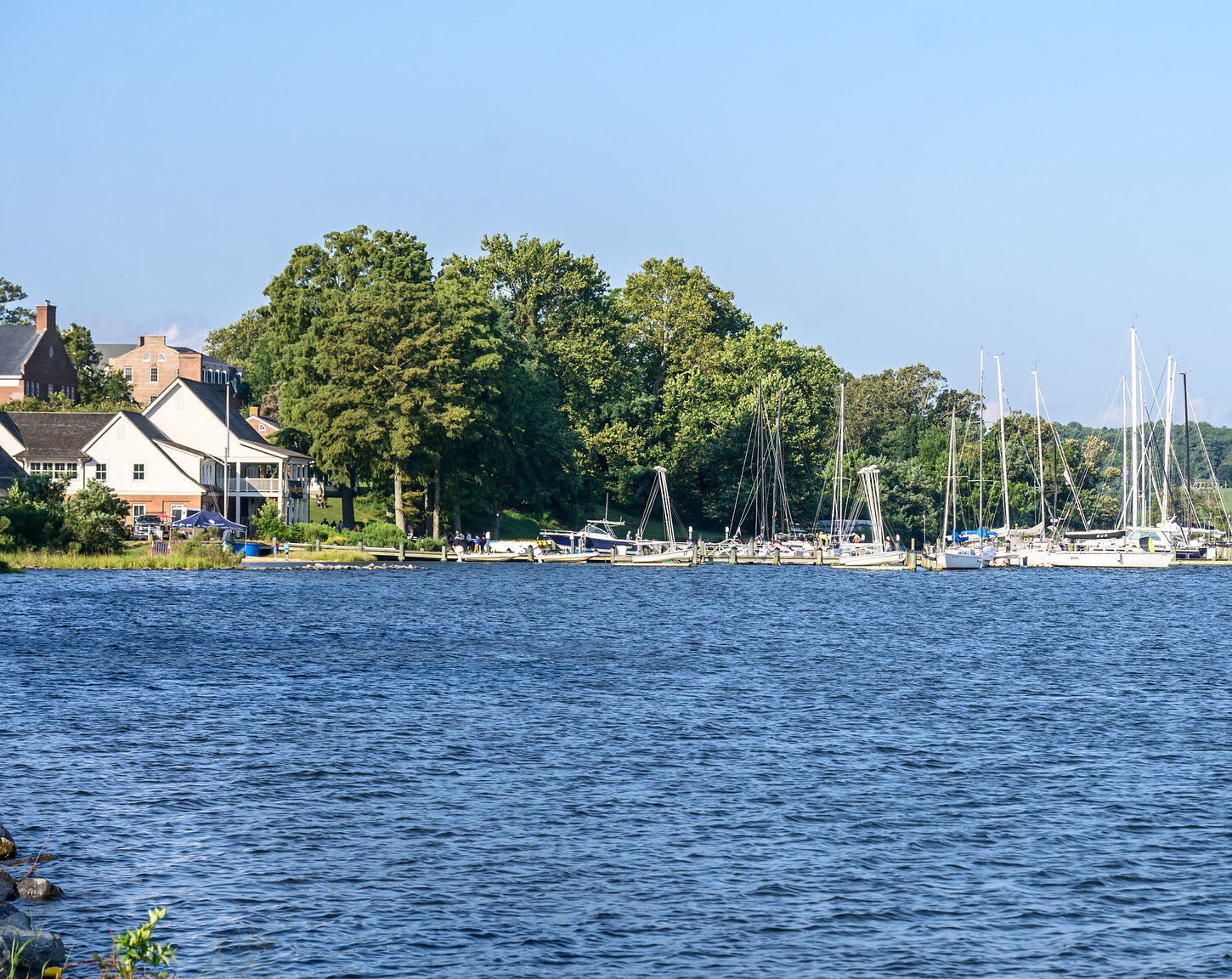 A marina with several sailboats docked along the shoreline, houses and trees in the background, and calm blue water in the foreground under a clear sky.