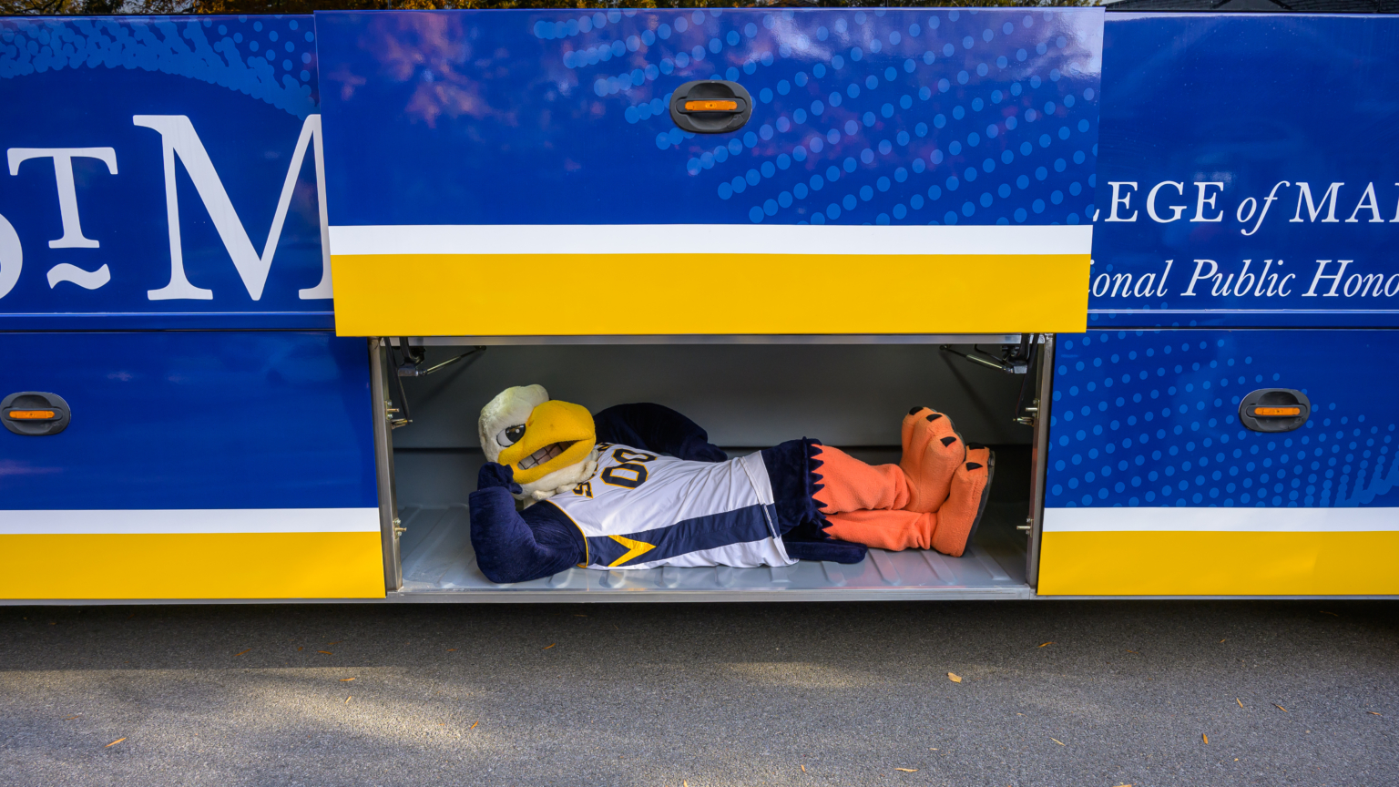 Photo by Chuck Steenburgh Solomon Seahawk laying down.