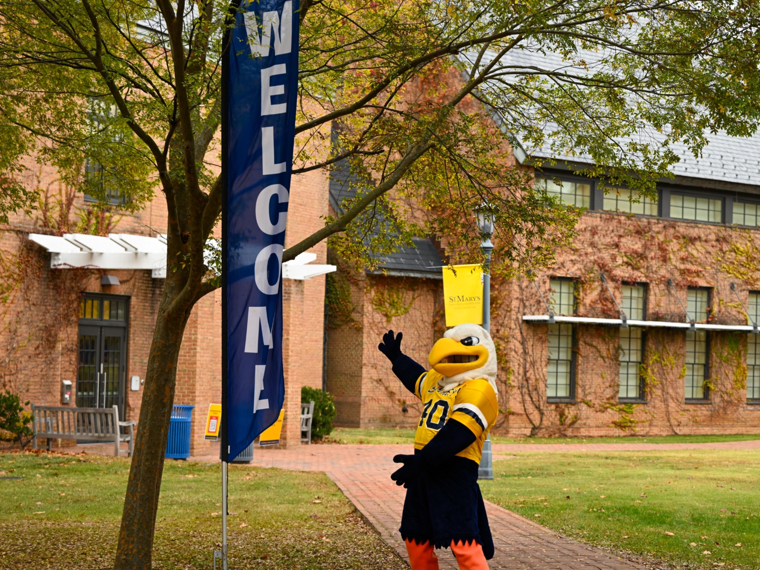 54147630542_d3923ba0eb_o Solomon Seahawk welcoming you