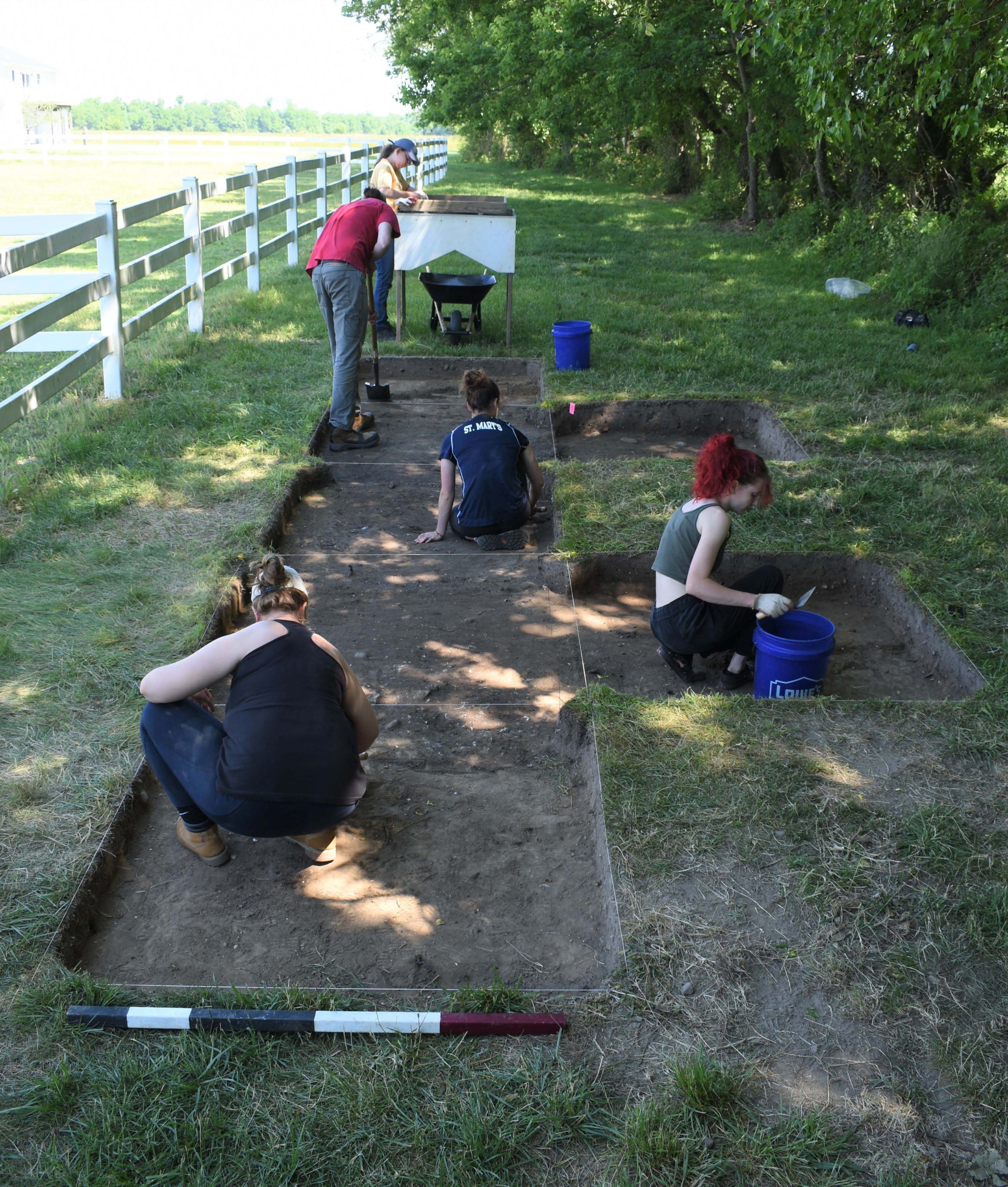 Excavating Midden Four people excavate rectangular archaeological dig sites in a grassy, fenced area, using trowels and buckets, with trees providing shade on one side.