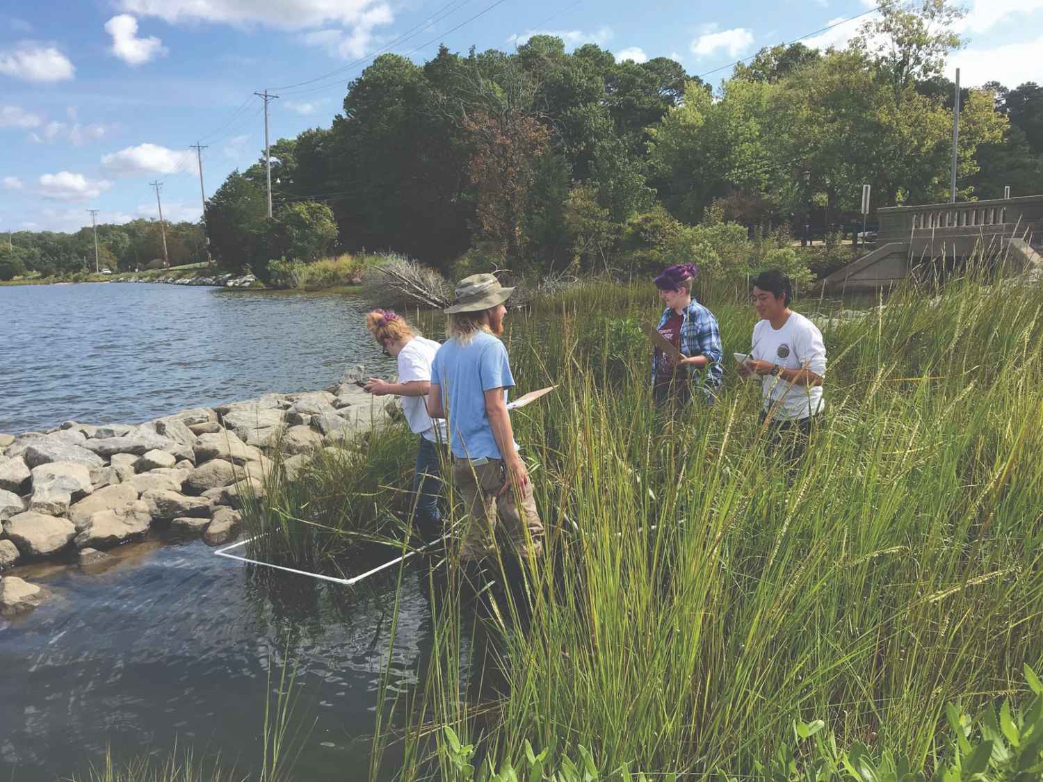 Four people stand in tall grass near the edge of a body of water, using scientific equipment to take measurements or samples.