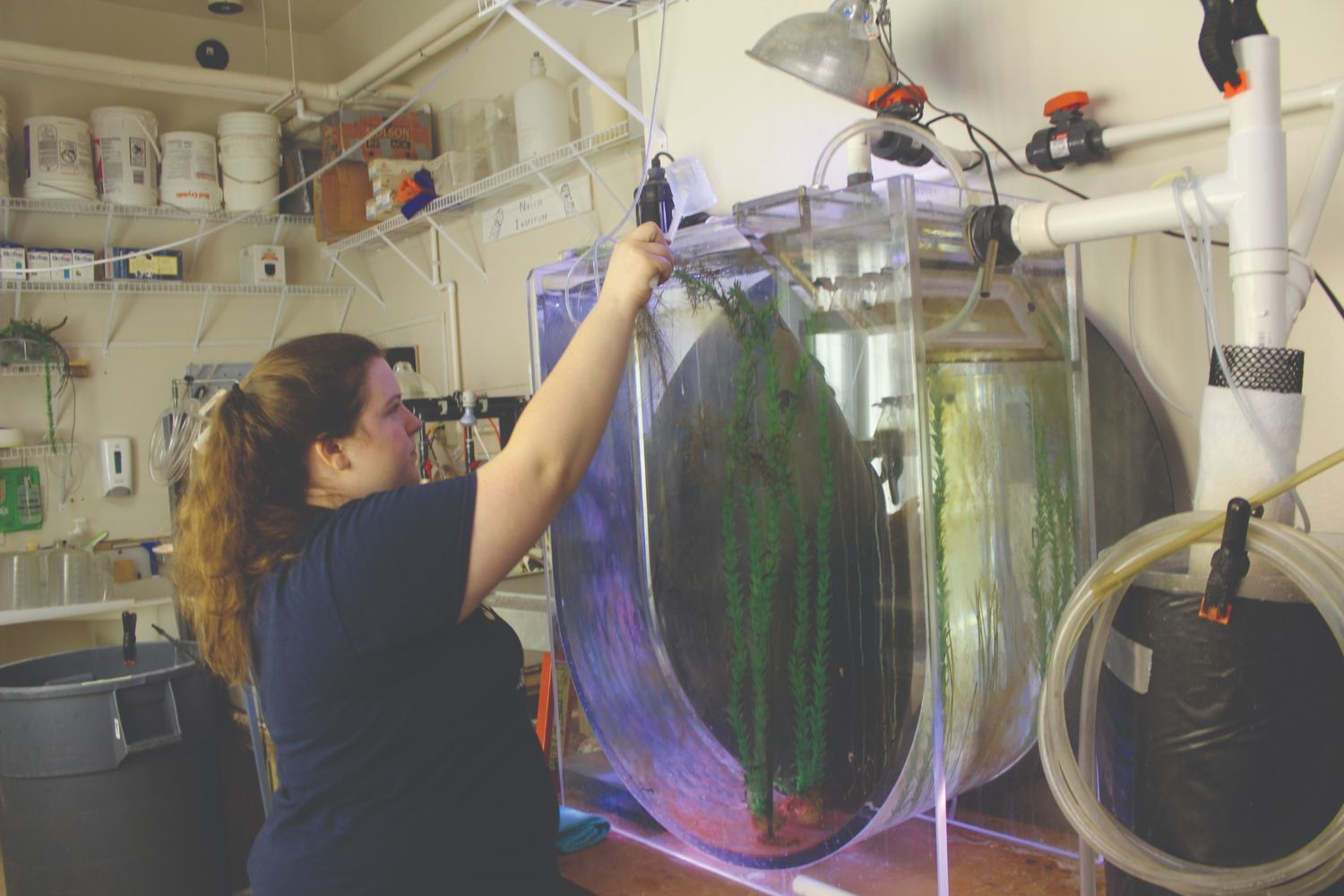 Victoria Lusk7_enviro A person is adjusting equipment inside a large aquarium tank in a room filled with pipes, hoses, and containers.