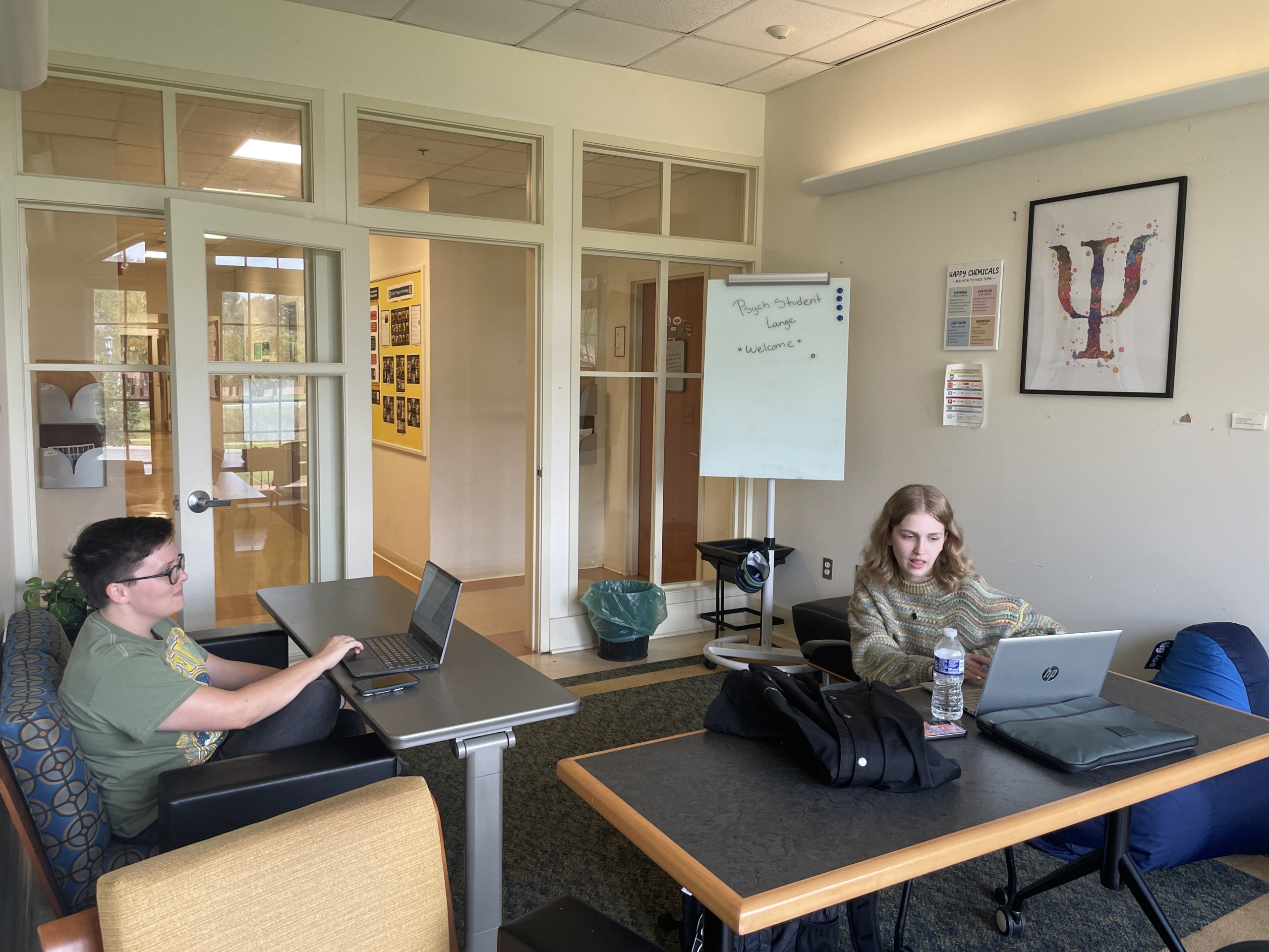 Two people are working on laptops in a small study room with a whiteboard, a framed psychology symbol, and a windowed wall in the background.