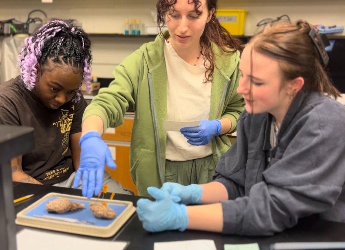 SMCM students wearing gloves examine and discuss two samples on a tray in a science lab setting.
