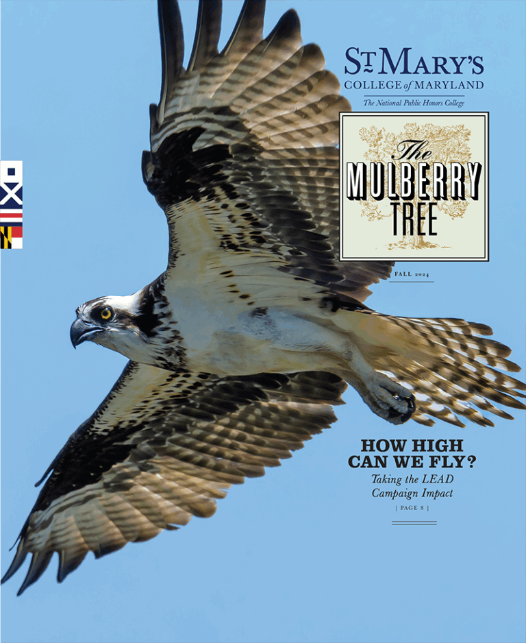 An osprey in flight against a clear blue sky is featured on the cover of St. Mary’s College of Maryland’s “The Mulberry Tree” magazine, Fall 2014 issue.