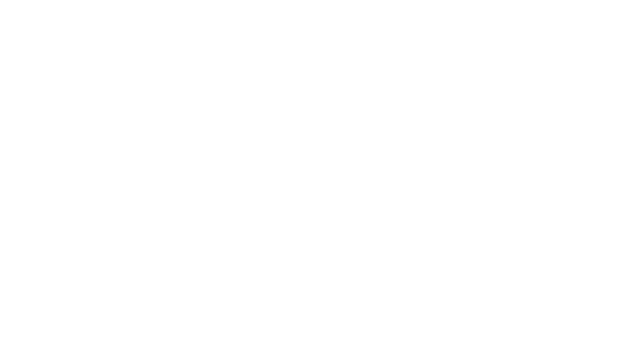 White text reads Taking the Lead: The Campaign for St. Mary's College of Maryland with a stylized flame forming part of the letter A in LEAD.