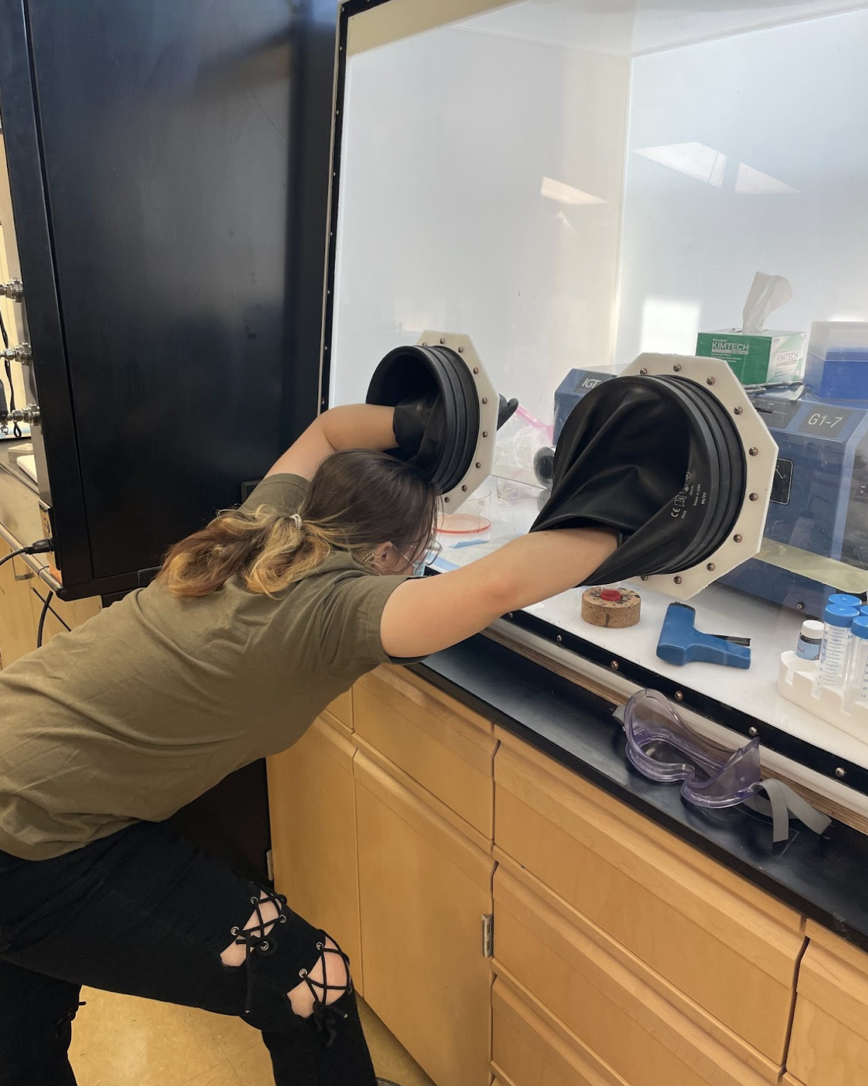 A person uses a laboratory glove box workstation, with their arms inside the attached black gloves, surrounded by lab equipment on a wooden counter.