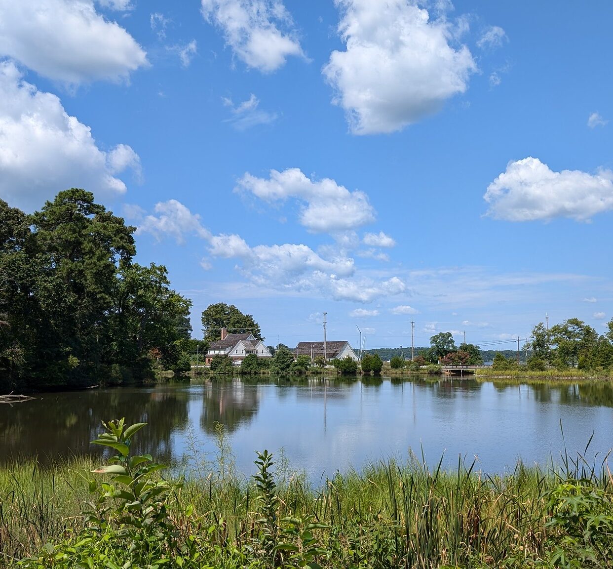 A calm pond surrounded by green vegetation with houses and trees in the background under a blue sky with scattered clouds.
