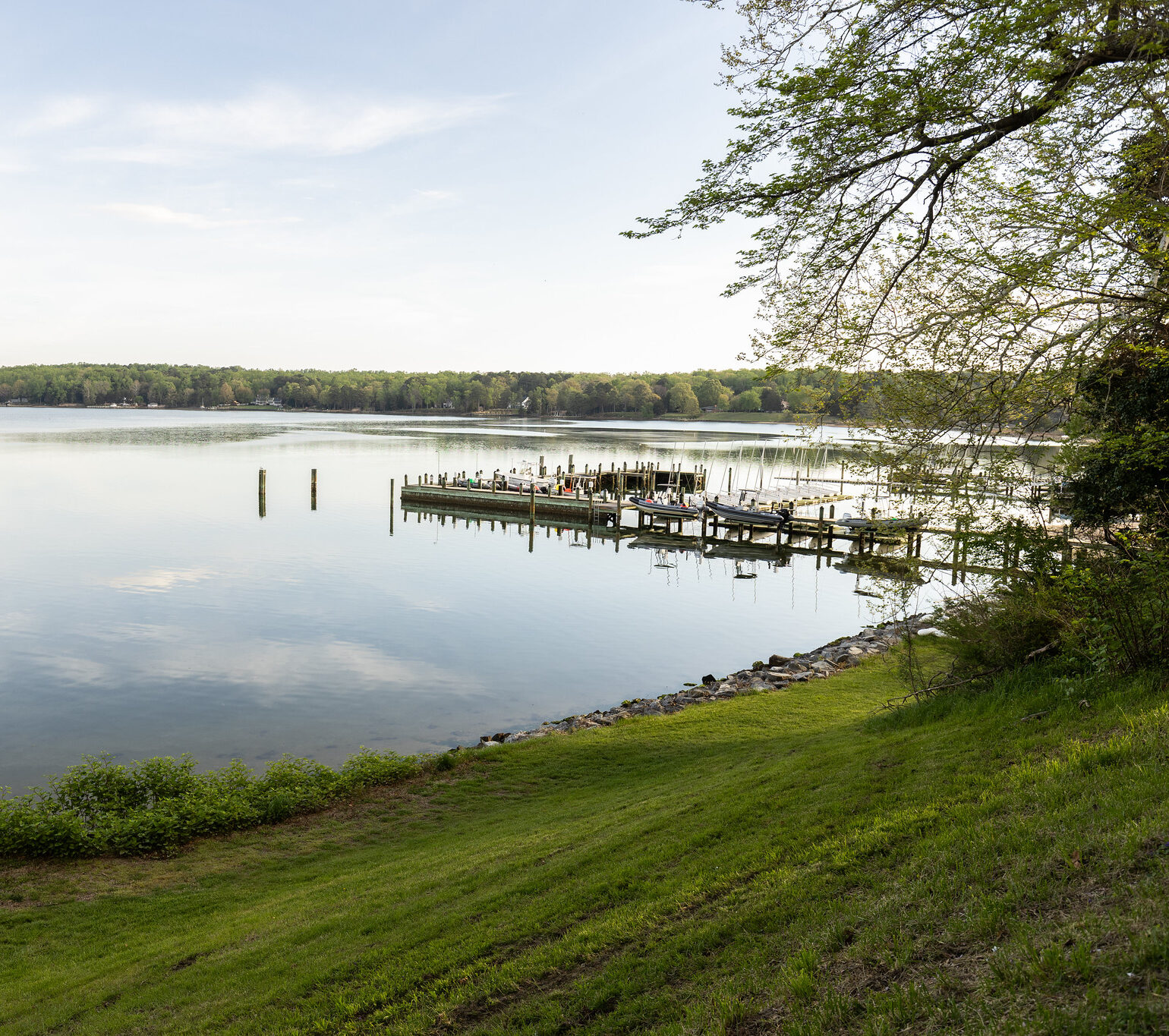 A wooden dock extends into a calm lake, surrounded by trees and greenery, with a grassy slope in the foreground.