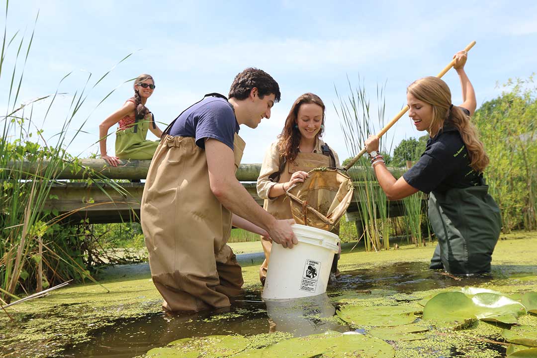 150618-smcm-37-wading-in-pond-a-0006