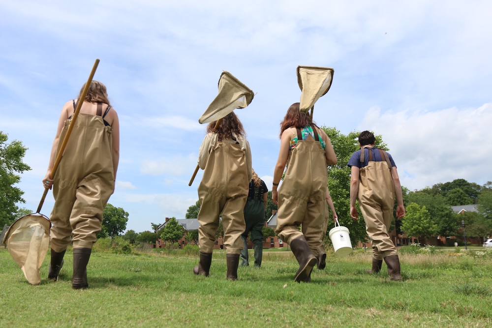 Four people wearing waders carry large nets and walk through grassy terrain toward trees and buildings on a clear day.