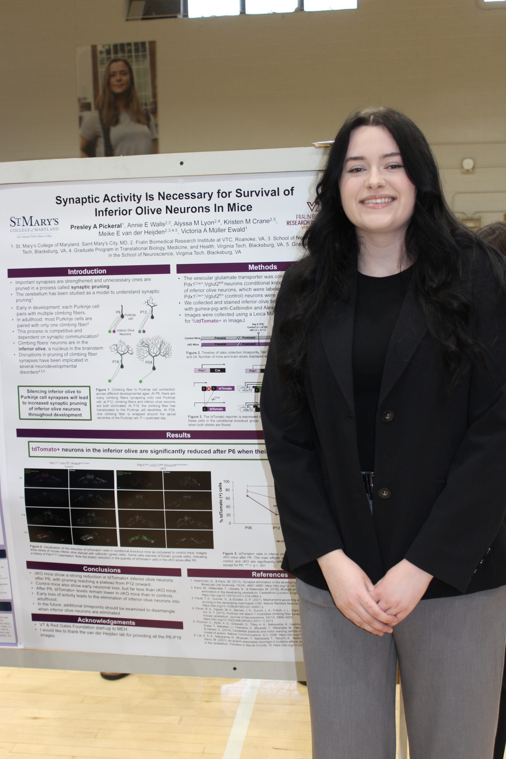 A person stands in front of a scientific poster presentation titled "Synaptic Activity Is Necessary for Survival of Inferior Olive Neurons In Mice" at an indoor event.
