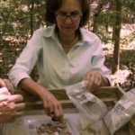 Picture of Dr. Julia King
