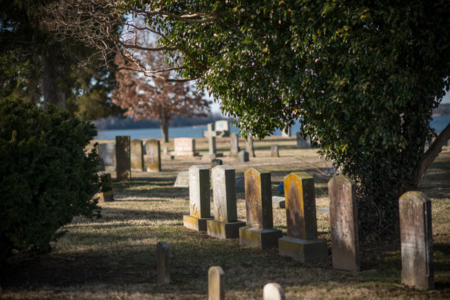 Old gravestones stand in rows under large trees in a cemetery, with sunlight casting shadows on the grass, evoking the quiet wonders of history and memory concealed within this tranquil place.
