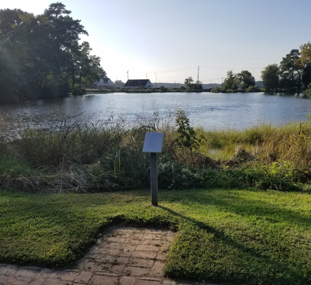 A sign stands on a grassy area near the edge of a pond, with trees and buildings visible in the background under a clear sky, inviting visitors to discover the natural wonders all around.